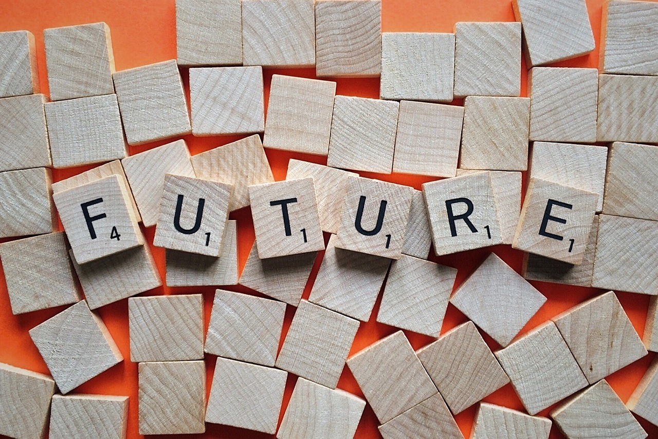 2025正版资料免费查询,全面释义、专家解析解释与落实与警惕虚假宣传
